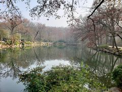 -灵谷景区