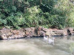 -兰亭风景区