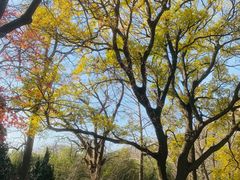 -青岛崂山太清宫