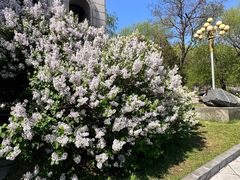 -渤海大学(松山校区)
