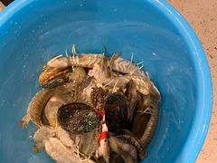 -四海蒸鲜蒸汽海鲜自助(北戴河店)