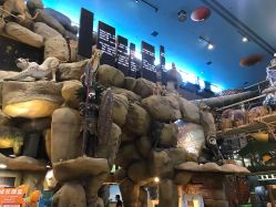 -卡通尼·Safari非洲探索乐园·生日会(金桥国际商业广场店)