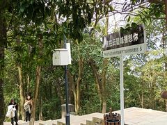 -云碧峰国家森林公园