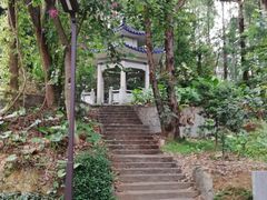 -南岗山公园
