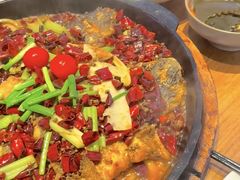 -老板恋上鱼(恒隆广场店)