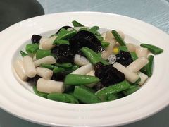 -石家庄万象天成假日酒店