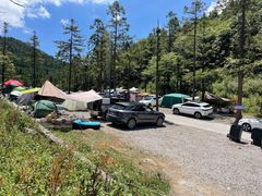 -武陵山森林公园