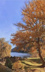 -YESIDO椰岛造型烫发染发