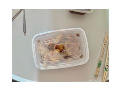 -赶海部落海鲜城(海阳路店)