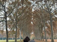 -河南省黄河迎宾馆