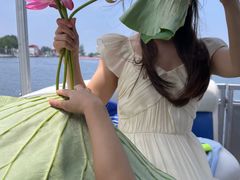 -白洋淀景区