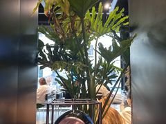 -W COLLECTIVE  DESSERT SHOP