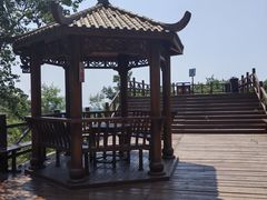 -大岭沟猕猴桃谷风景区