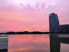 -金沙湖公园