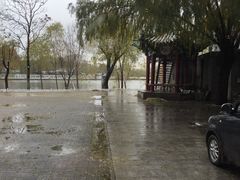 -卫鼎轩·家宴(水上公园店)