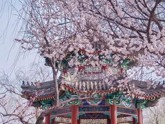 -颐和园