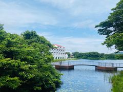 -济州森林小火车生态公园