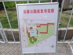 -嘉定紫藤园