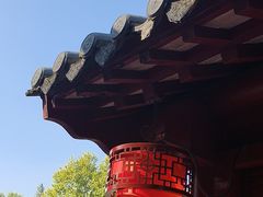 -鸡鸣赐茶(鸡鸣寺路店)