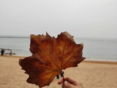 -青岛第二海水浴场