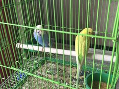 -南京夫子庙国际青年旅舍(平江府路店)