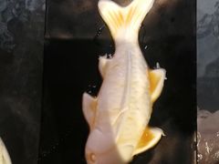 -美丽心情蛋糕(江苏路店)