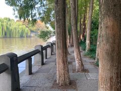 -运河游船(武林门码头)