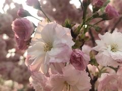 景点-济南国际园博园