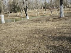 -西安浐灞国家湿地公园