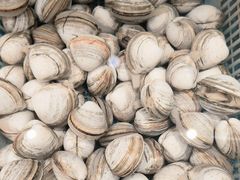 -周记老沈阳焦火鸡架