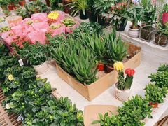 -秦美花卉(天朗·莱茵小城2期店)