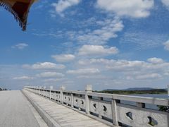 -南湖湿地公园
