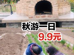 -前小桔亲子创意农场·草莓采摘·露营烧烤