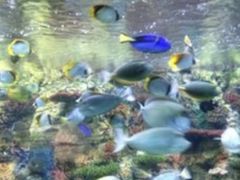 -乌鲁木齐海洋馆