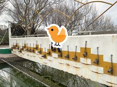 -东方绿舟景区
