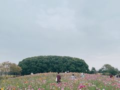 -嘉北郊野公园