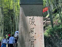 -严子陵钓台(富春江小三峡)