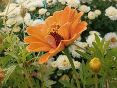 -共青国家森林公园-售票处