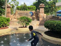 -新加坡水上探险乐园