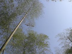 -山沟沟景区