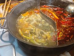 -阳阳老火锅(小南门店)