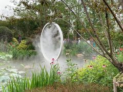 -东平国家森林公园