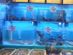 -俏东方·海味水饺·青岛菜(崂山店)