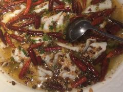 -九毛九西北菜(百信广场店)