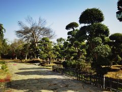 -武汉紫薇都市田园