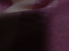 -南汇老顾农家乐采摘大团水蜜桃采摘店