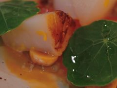 香煎扇贝-BOR Eatery(安福路店)