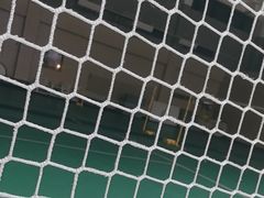 -莱茵体育生活馆