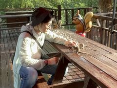 -莫尔道嘎国家森林公园