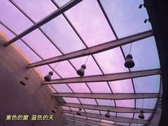 -陕西自然博物馆